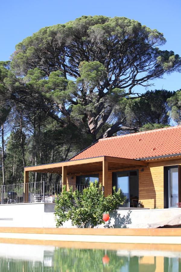 Villa Casas Do Pinheiro Grande Fornos de Algodres Exterior foto
